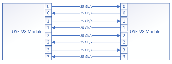QSFP28 Interface (illustrative)