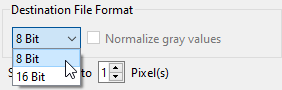 File Format Options for Saving